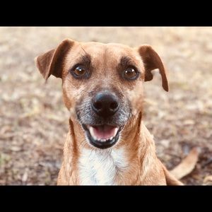 Meet your Posher, Magdalena